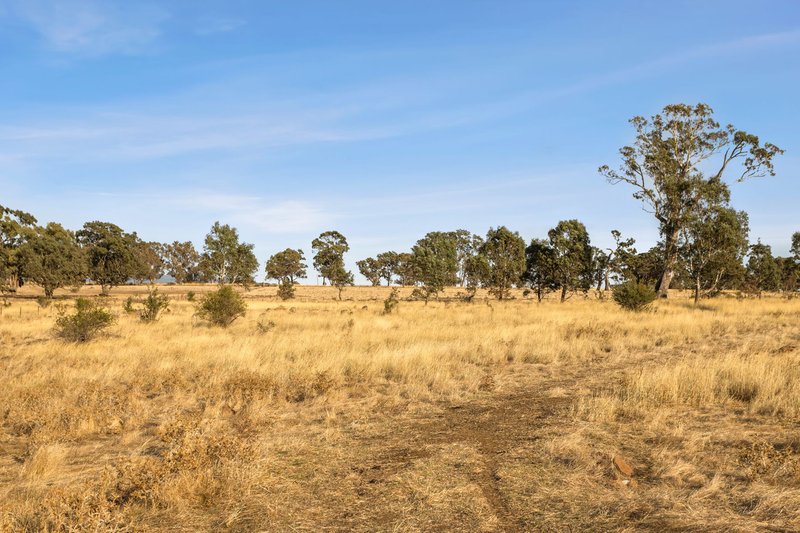 Photo - 176 North Redesdale Road, Redesdale VIC 3444 - Image 10