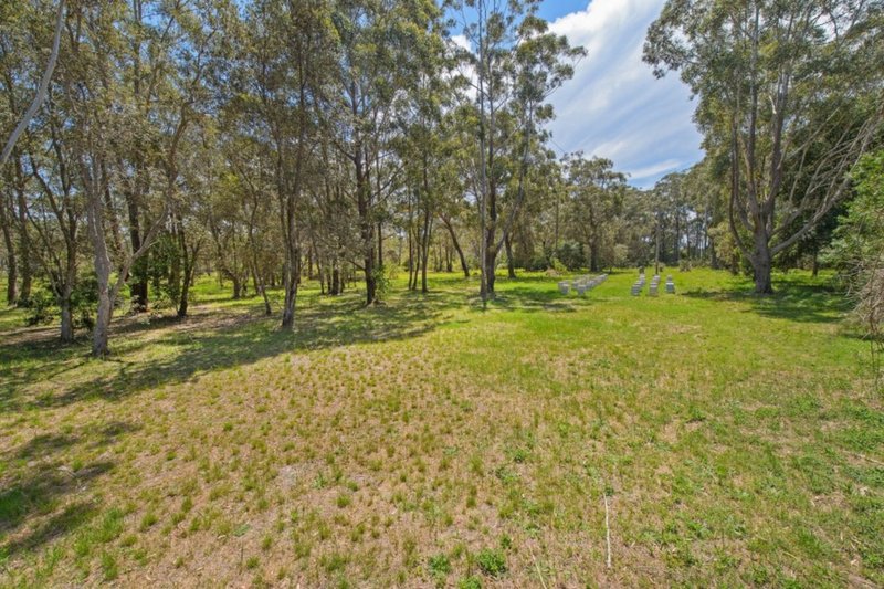 Photo - 176 Shoreline Drive, Port Macquarie NSW 2444 - Image 4