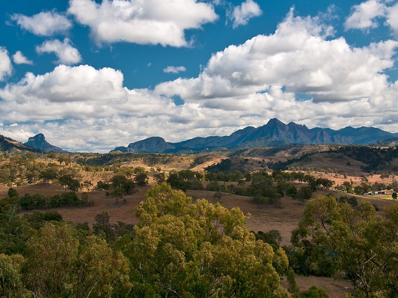 Photo - 176 Spring Creek Road, Running Creek QLD 4287 - Image 3