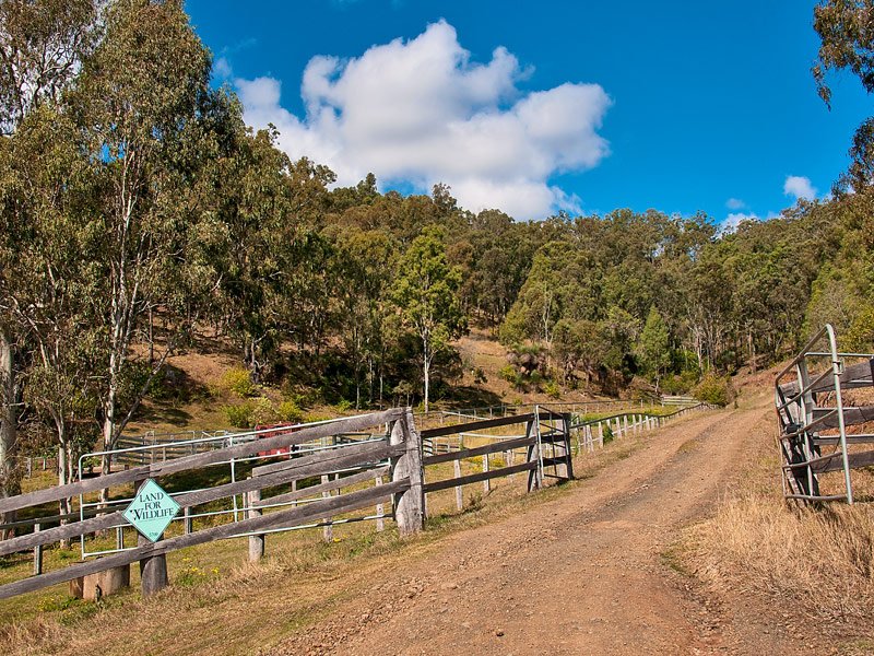 Photo - 176 Spring Creek Road, Running Creek QLD 4287 - Image 26