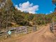 Photo - 176 Spring Creek Road, Running Creek QLD 4287 - Image 26