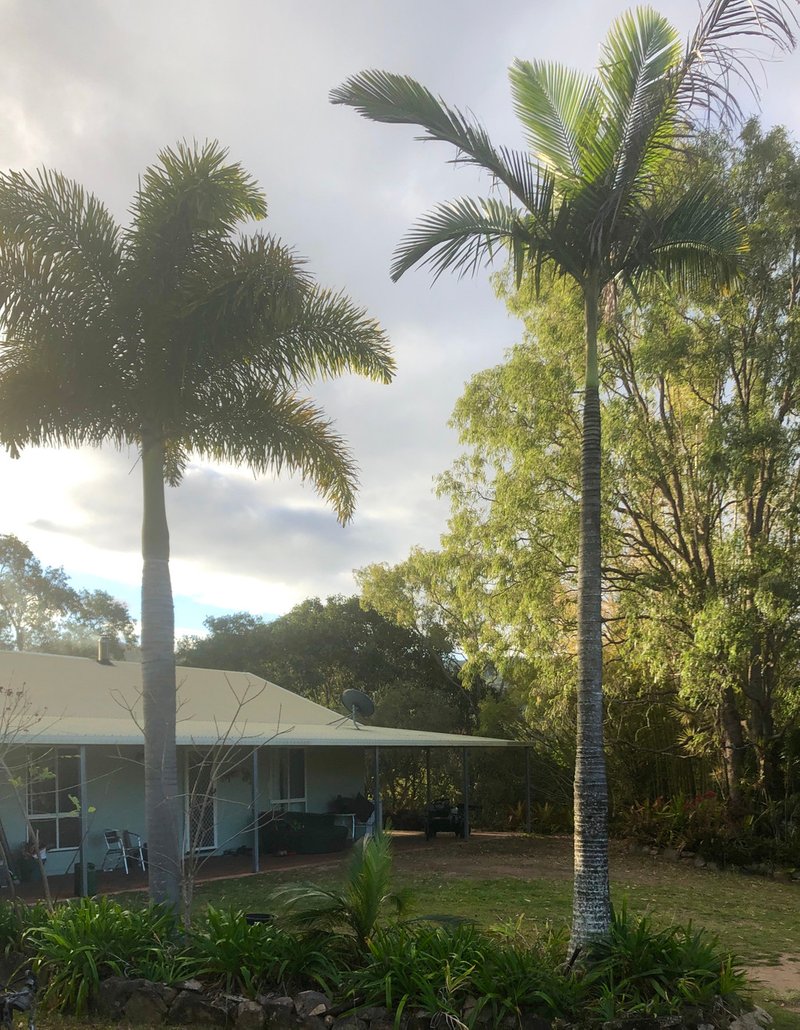 Photo - 1762 Gaeta Road, Gaeta QLD 4671 - Image 17