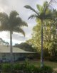 Photo - 1762 Gaeta Road, Gaeta QLD 4671 - Image 17