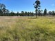 Photo - 1765 Kingaroy Barkers Creek Road, Kingaroy QLD 4610 - Image 27