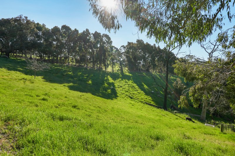 Photo - 176b Adelaide Gully Road, Millbrook SA 5231 - Image 29