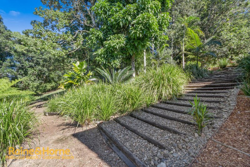 Photo - 177 Bakers Road, Murwillumbah NSW 2484 - Image 9