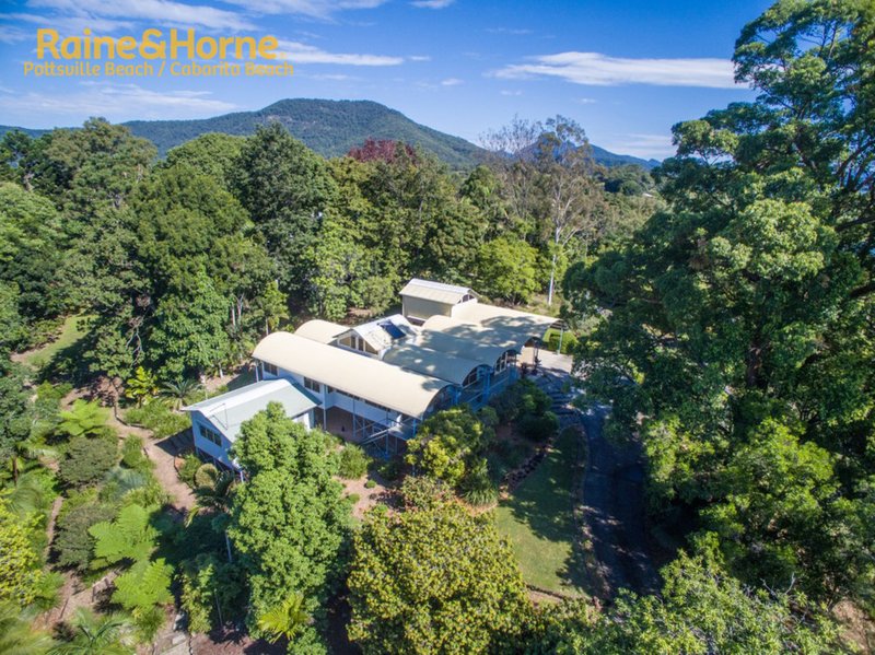 Photo - 177 Bakers Road, Murwillumbah NSW 2484 - Image 23