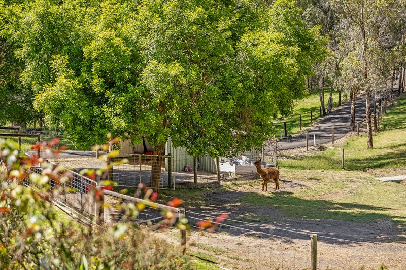 Photo - 177 Grants Gully Road, Clarendon SA 5157 - Image 22