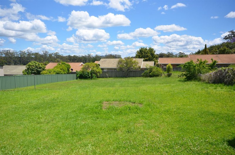 Photo - 177 High Street, Wauchope NSW 2446 - Image 11