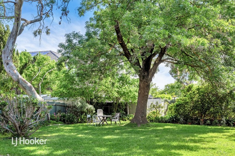 Photo - 1/77 Lockwood Road, Burnside SA 5066 - Image 12