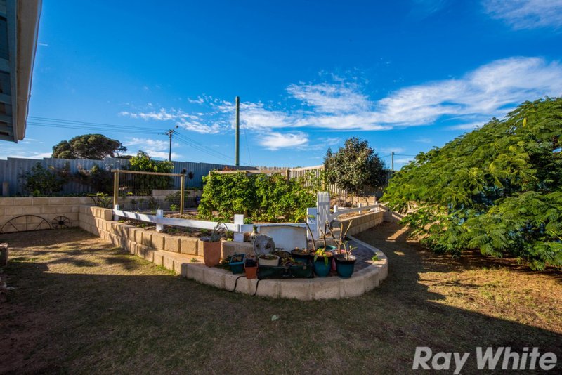 Photo - 177 Shenton Street, Beachlands WA 6530 - Image 21