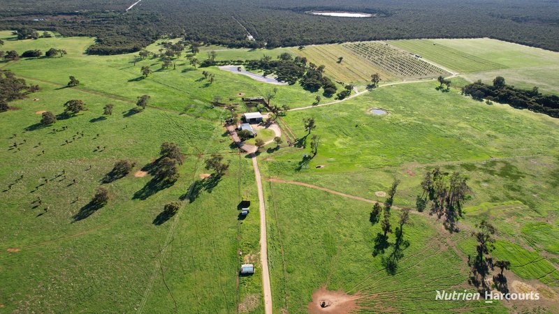 Photo - 1770 Beermullah Road, Wanerie WA 6503 - Image 3