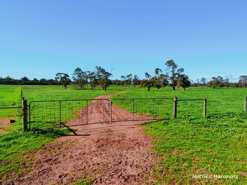 Photo - 1770 Beermullah Road, Wanerie WA 6503 - Image 23