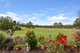 Photo - 178 Cedar Party Road, Taree NSW 2430 - Image 10