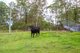 Photo - 178 Cedar Party Road, Taree NSW 2430 - Image 27