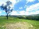 Photo - 1789 Gatton Clifton Road, Mount Whitestone QLD 4347 - Image 10