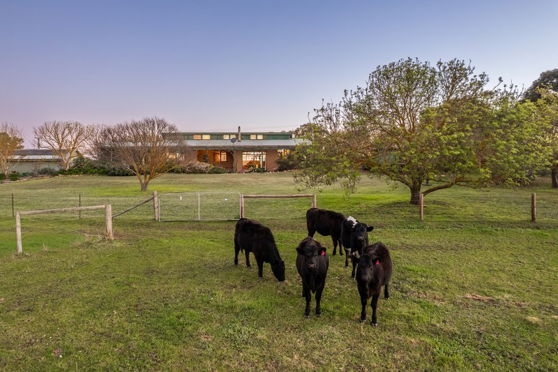 Photo - 179 Back Callington Road, Nairne SA 5252 - Image 1