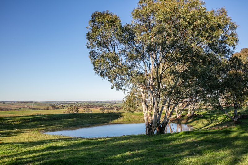 Photo - 179 Back Callington Road, Nairne SA 5252 - Image 4