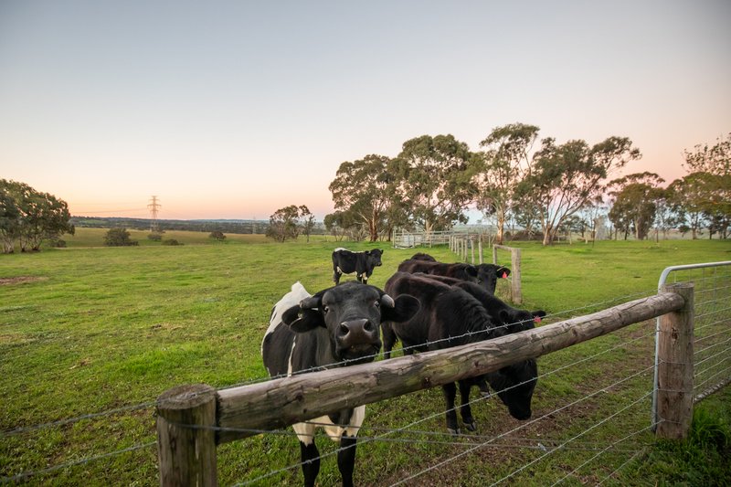 Photo - 179 Back Callington Road, Nairne SA 5252 - Image 5
