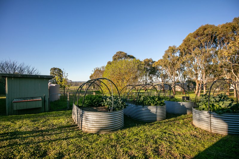 Photo - 179 Back Callington Road, Nairne SA 5252 - Image 22