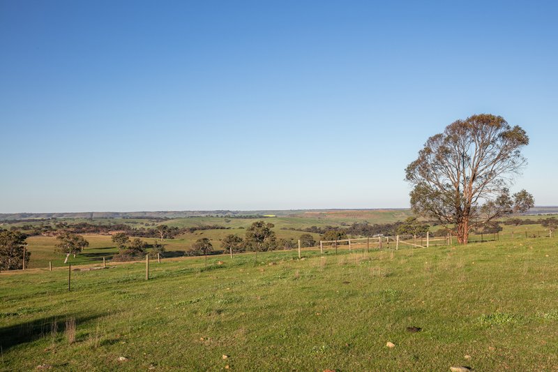 Photo - 179 Back Callington Road, Nairne SA 5252 - Image 25