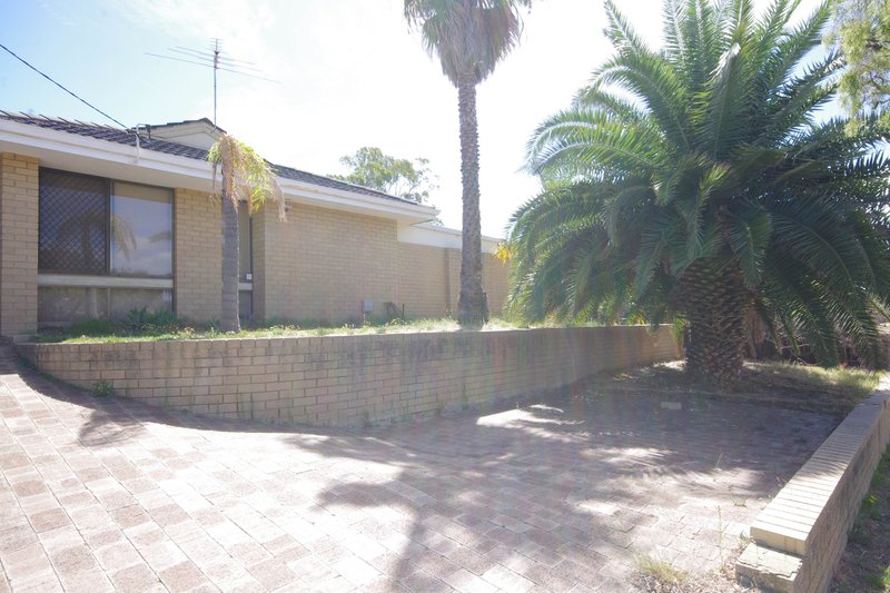 Photo - 179 Camberwarra Drive, Craigie WA 6025 - Image 3