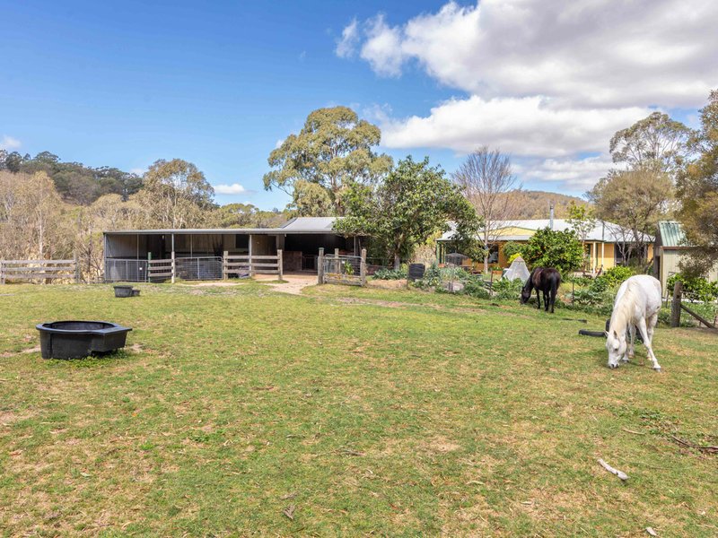 Photo - 179 Hawks Head Road, Brogo NSW 2550 - Image 10