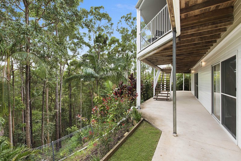 Photo - 179 Mons School Road, Buderim QLD 4556 - Image 16