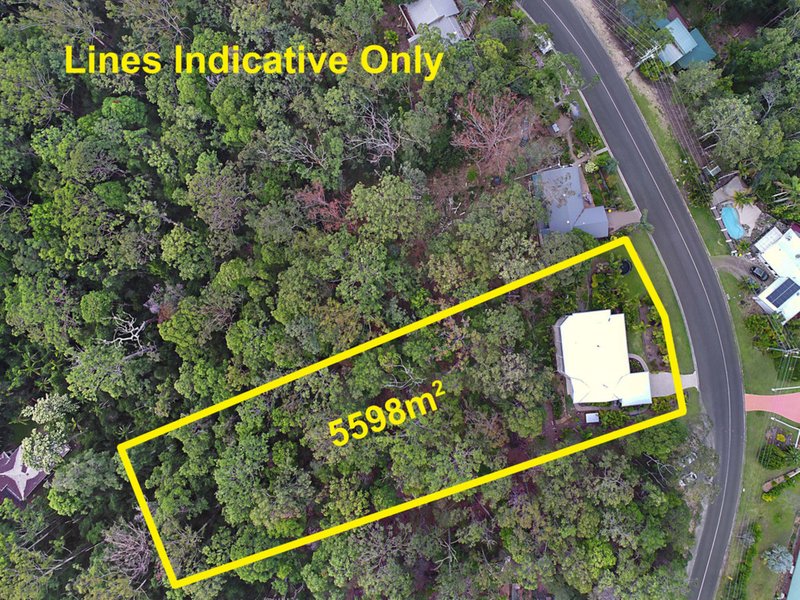 Photo - 179 Mons School Road, Buderim QLD 4556 - Image 18