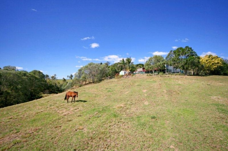 Photo - 179 Sankeys Road, Federal QLD 4568 - Image 10