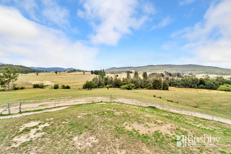 Photo - 1792 Pipers River Road, Turners Marsh TAS 7267 - Image 17