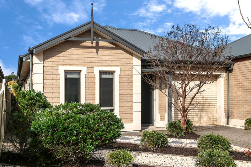 Photo - 17a Eton Avenue, Warradale SA 5046 - Image 19