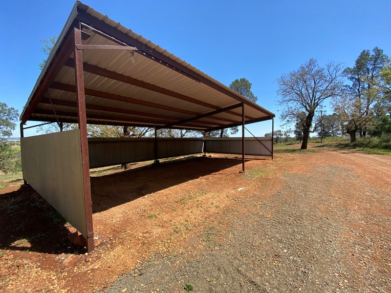 Photo - 17L Kurrajong Drive, Dubbo NSW 2830 - Image 10