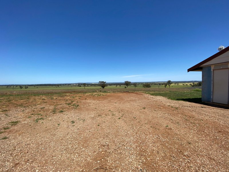 Photo - 17L Kurrajong Drive, Dubbo NSW 2830 - Image 11