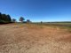 Photo - 17L Kurrajong Drive, Dubbo NSW 2830 - Image 12