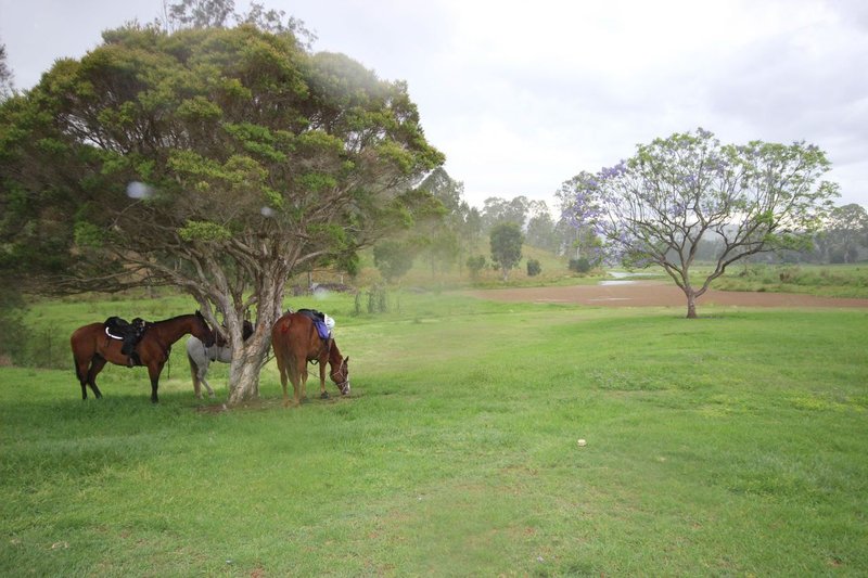 Photo - 18-26 Markwell Drive, Kooralbyn QLD 4285 - Image 10