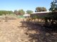 Photo - 18 Adelaide Road, Mallala SA 5502 - Image 13