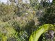 Photo - 18 Aspect Terrace, Springfield Lakes QLD 4300 - Image 17