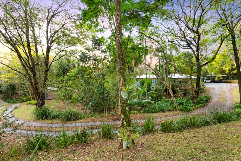 Photo - 18 Brahman Court, Tallebudgera QLD 4228 - Image 2