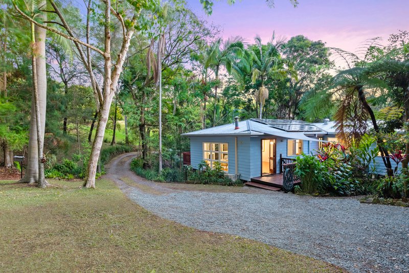 Photo - 18 Brahman Court, Tallebudgera QLD 4228 - Image 6