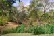 Photo - 18 Brahman Court, Tallebudgera QLD 4228 - Image 10