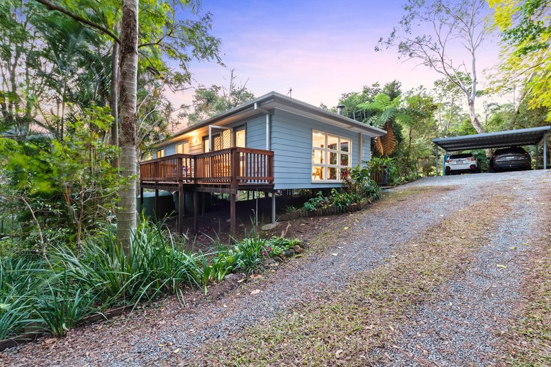 Photo - 18 Brahman Court, Tallebudgera QLD 4228 - Image 11