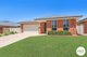 Photo - 18 Britton Court, Jindera NSW 2642 - Image 1