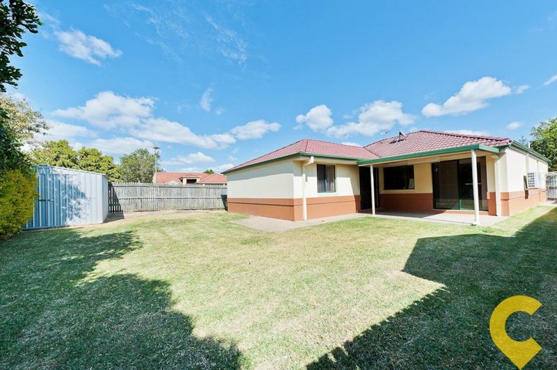 Photo - 18 Brocket Avenue, Upper Coomera QLD 4209 - Image 14