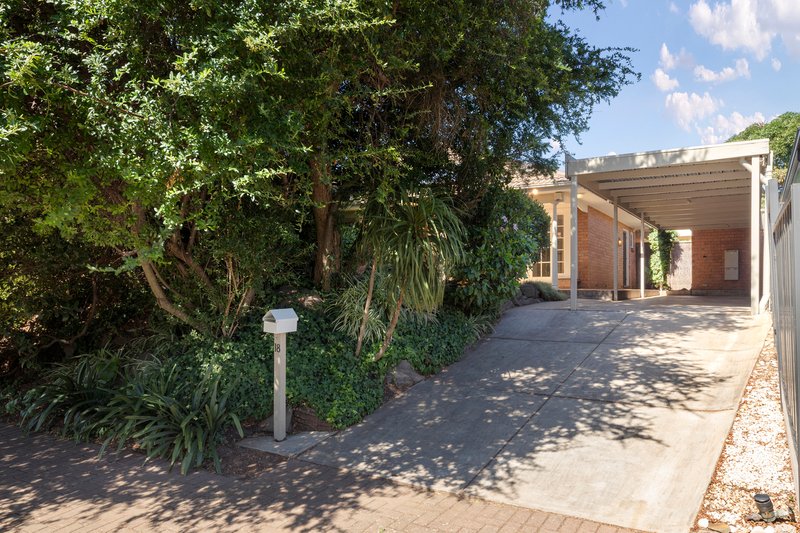 Photo - 18 Brook Avenue, Glen Osmond SA 5064 - Image 2