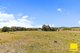 Photo - 18 Butts Road, Murrumbateman NSW 2582 - Image 27