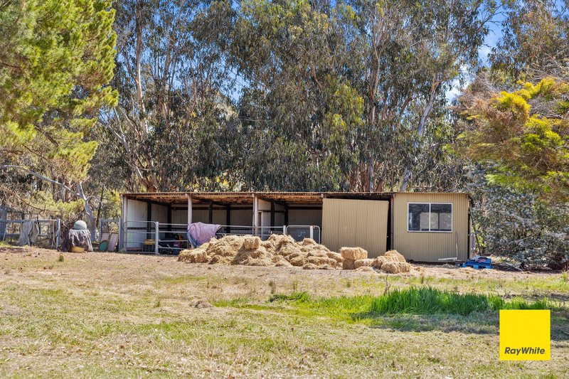 Photo - 18 Butts Road, Murrumbateman NSW 2582 - Image 31