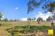 Photo - 18 Butts Road, Murrumbateman NSW 2582 - Image 33