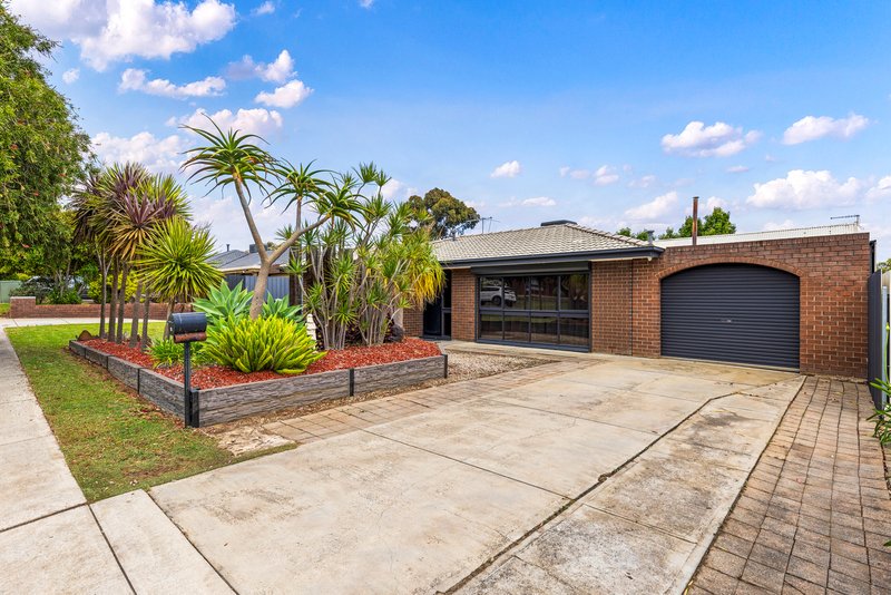 Photo - 18 Cadbury Street, St Agnes SA 5097 - Image 2