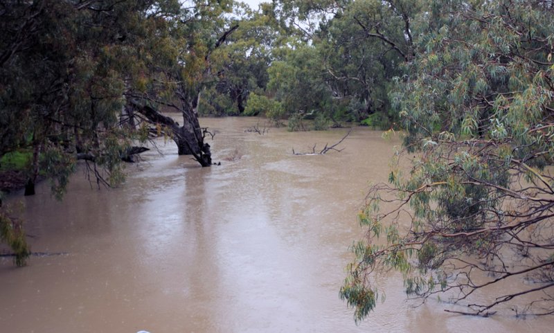 Photo - 18 Carathool Road, Conargo Road, Deniliquin NSW 2710 - Image 11